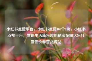 小红书点赞平台，小红书点赞100个1块，小红书点赞平台，发现生活新乐趣的秘密花园亿乐社区低价自营货源站