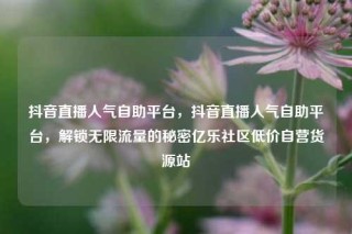 抖音直播人气自助平台，抖音直播人气自助平台，解锁无限流量的秘密亿乐社区低价自营货源站