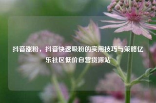 抖音涨粉，抖音快速吸粉的实用技巧与策略亿乐社区低价自营货源站