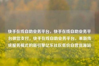 快手在线自助业务平台，快手在线自助业务平台微信支付，快手在线自助业务平台，革新传统服务模式的新引擎亿乐社区低价自营货源站