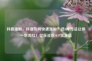 抖音涨粉，抖音如何快速涨粉？这8种方法让你一炮而红！亿乐社区SUP货源站