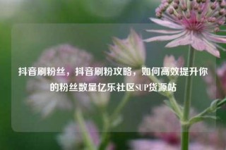 抖音刷粉丝，抖音刷粉攻略，如何高效提升你的粉丝数量亿乐社区SUP货源站