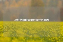 小红书回应大量封号什么意思