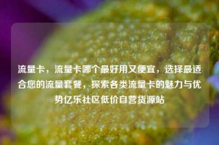 流量卡，流量卡哪个最好用又便宜，选择最适合您的流量套餐，探索各类流量卡的魅力与优势亿乐社区低价自营货源站