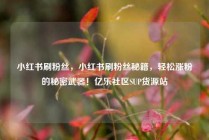 小红书刷粉丝，小红书刷粉丝秘籍，轻松涨粉的秘密武器！亿乐社区SUP货源站