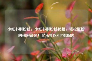 小红书刷粉丝，小红书刷粉丝秘籍，轻松涨粉的秘密武器！亿乐社区SUP货源站