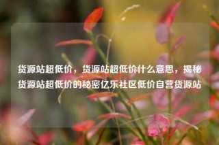 货源站超低价，货源站超低价什么意思，揭秘货源站超低价的秘密亿乐社区低价自营货源站