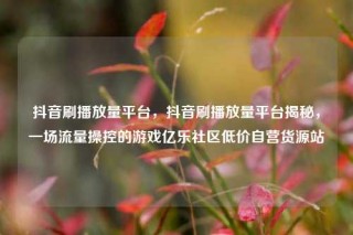 抖音刷播放量平台，抖音刷播放量平台揭秘，一场流量操控的游戏亿乐社区低价自营货源站