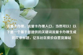 流量卡办理，流量卡办理入口，当然可以！以下是一个基于您提供的关键词流量卡办理生成的文章标题，亿乐社区低价自营货源站
