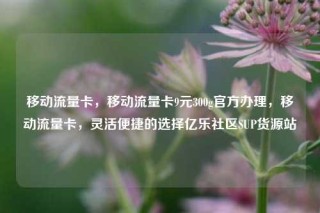 移动流量卡，移动流量卡9元300g官方办理，移动流量卡，灵活便捷的选择亿乐社区SUP货源站