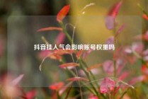 抖音挂人气会影响账号权重吗