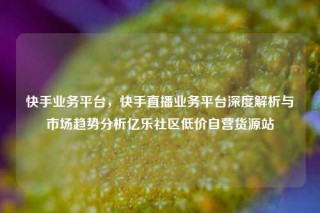 快手业务平台，快手直播业务平台深度解析与市场趋势分析亿乐社区低价自营货源站