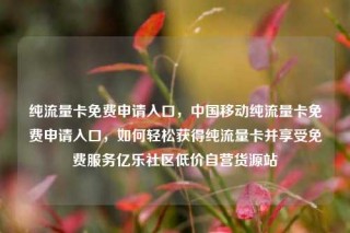 纯流量卡免费申请入口，中国移动纯流量卡免费申请入口，如何轻松获得纯流量卡并享受免费服务亿乐社区低价自营货源站