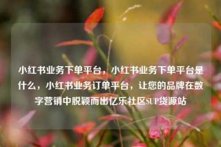 小红书业务下单平台，小红书业务下单平台是什么，小红书业务订单平台，让您的品牌在数字营销中脱颖而出亿乐社区SUP货源站