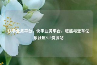 快手业务平台，快手业务平台，崛起与变革亿乐社区SUP货源站