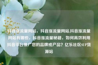 抖音涨流量网站，抖音涨流量网站,抖音涨流量网站有哪些，抖音涨流量秘籍，如何高效利用抖音平台推广您的品牌或产品？亿乐社区SUP货源站