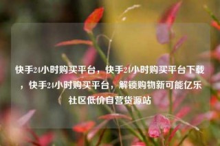 快手24小时购买平台，快手24小时购买平台下载，快手24小时购买平台，解锁购物新可能亿乐社区低价自营货源站