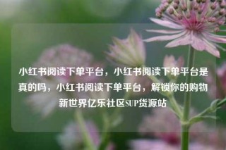 小红书阅读下单平台，小红书阅读下单平台是真的吗，小红书阅读下单平台，解锁你的购物新世界亿乐社区SUP货源站