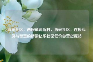 两碗社区，两碗镇两碗村，两碗社区，连接心灵与智慧的桥梁亿乐社区低价自营货源站