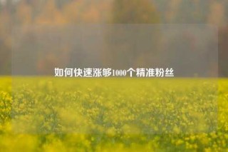 如何快速涨够1000个精准粉丝
