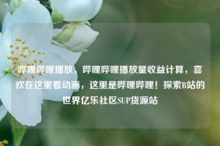 哔哩哔哩播放，哔哩哔哩播放量收益计算，喜欢在这里看动画，这里是哔哩哔哩！探索B站的世界亿乐社区SUP货源站