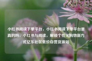 小红书阅读下单平台，小红书阅读下单平台是真的吗，小红书与阅读，解锁个性化购物新方式亿乐社区低价自营货源站