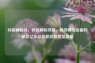 抖音刷粉丝，抖音刷粉攻略，高效吸引流量的秘密亿乐社区低价自营货源站