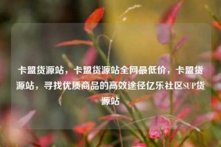 卡盟货源站，卡盟货源站全网最低价，卡盟货源站，寻找优质商品的高效途径亿乐社区SUP货源站
