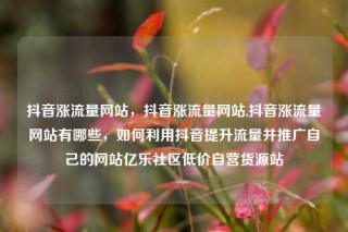 抖音涨流量网站，抖音涨流量网站,抖音涨流量网站有哪些，如何利用抖音提升流量并推广自己的网站亿乐社区低价自营货源站