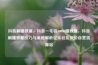 抖音刷播放量，抖音一毛钱10000播放量，抖音刷播放量技巧与策略解析亿乐社区低价自营货源站