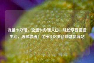 流量卡办理，流量卡办理入口，轻松享受便捷生活，选择联通！亿乐社区低价自营货源站