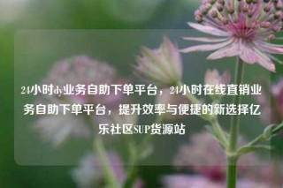 24小时dy业务自助下单平台，24小时在线直销业务自助下单平台，提升效率与便捷的新选择亿乐社区SUP货源站