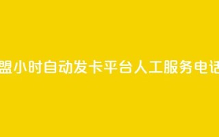 王者荣耀卡盟24小时自动发卡平台 - ks人工服务电话24小时