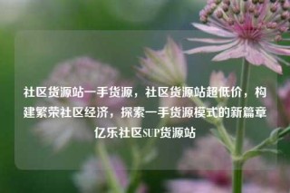 社区货源站一手货源，社区货源站超低价，构建繁荣社区经济，探索一手货源模式的新篇章亿乐社区SUP货源站