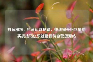 抖音涨粉，抖音运营秘籍，快速提升粉丝量的实战技巧亿乐社区低价自营货源站