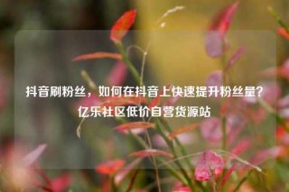 抖音刷粉丝，如何在抖音上快速提升粉丝量？亿乐社区低价自营货源站