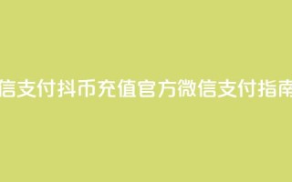 抖币充值中心官网微信支付 - 抖币充值官方微信支付指南助您轻松充值!