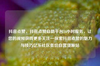 抖音点赞，抖音点赞自助平台24小时服务，让您的视频获得更多关注—探索抖音点赞的魅力与技巧亿乐社区低价自营货源站