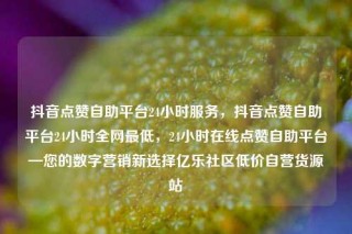 抖音点赞自助平台24小时服务，抖音点赞自助平台24小时全网最低，24小时在线点赞自助平台—您的数字营销新选择亿乐社区低价自营货源站