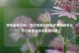 市场监管总局：部分领域仍存乱收费问题将从四方面整治涉企收费问题