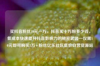买抖音粉丝10元一万，抖音买十万粉多少钱，低成本快速提升抖音影响力的秘密武器—仅需10元即可购买1万+粉丝亿乐社区低价自营货源站