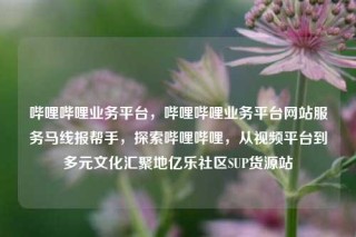 哔哩哔哩业务平台，哔哩哔哩业务平台网站服务马线报帮手，探索哔哩哔哩，从视频平台到多元文化汇聚地亿乐社区SUP货源站