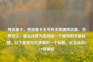 纯流量卡，纯流量卡无号码全国通用流量，当然可以，请允许我为您创造一个独特的文章标题。以下是我为您准备的一个标题，亿乐社区SUP货源站