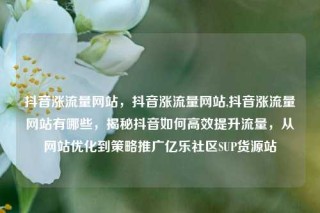 抖音涨流量网站，抖音涨流量网站,抖音涨流量网站有哪些，揭秘抖音如何高效提升流量，从网站优化到策略推广亿乐社区SUP货源站