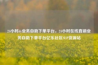 24小时dy业务自助下单平台，24小时在线直销业务自助下单平台亿乐社区SUP货源站