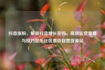 抖音涨粉，解锁抖音增长密码，高效运营策略与技巧亿乐社区低价自营货源站