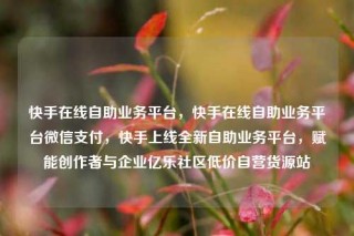 快手在线自助业务平台，快手在线自助业务平台微信支付，快手上线全新自助业务平台，赋能创作者与企业亿乐社区低价自营货源站