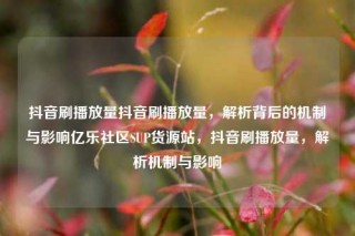 抖音刷播放量抖音刷播放量，解析背后的机制与影响亿乐社区SUP货源站，抖音刷播放量，解析机制与影响