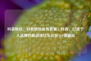 抖音粉丝，抖音粉丝业务套餐，抖音，打造个人品牌的新战场亿乐社区SUP货源站