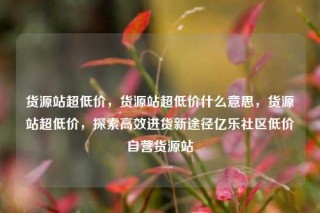 货源站超低价，货源站超低价什么意思，货源站超低价，探索高效进货新途径亿乐社区低价自营货源站